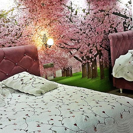 נבשהיר Dedeli Deluxe Hotel מראה חיצוני תמונה
